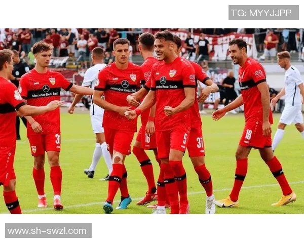 目前在德甲联赛中拥有中资背景的球队